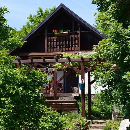 Na Okic - A Private Forest Oasis Villa Sveti Martin pod Okicem Kültér fotó