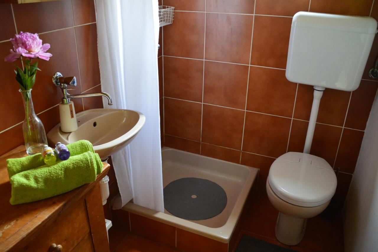 Na Okic - A Private Forest Oasis Sveti Martin pod Okicem Kültér fotó