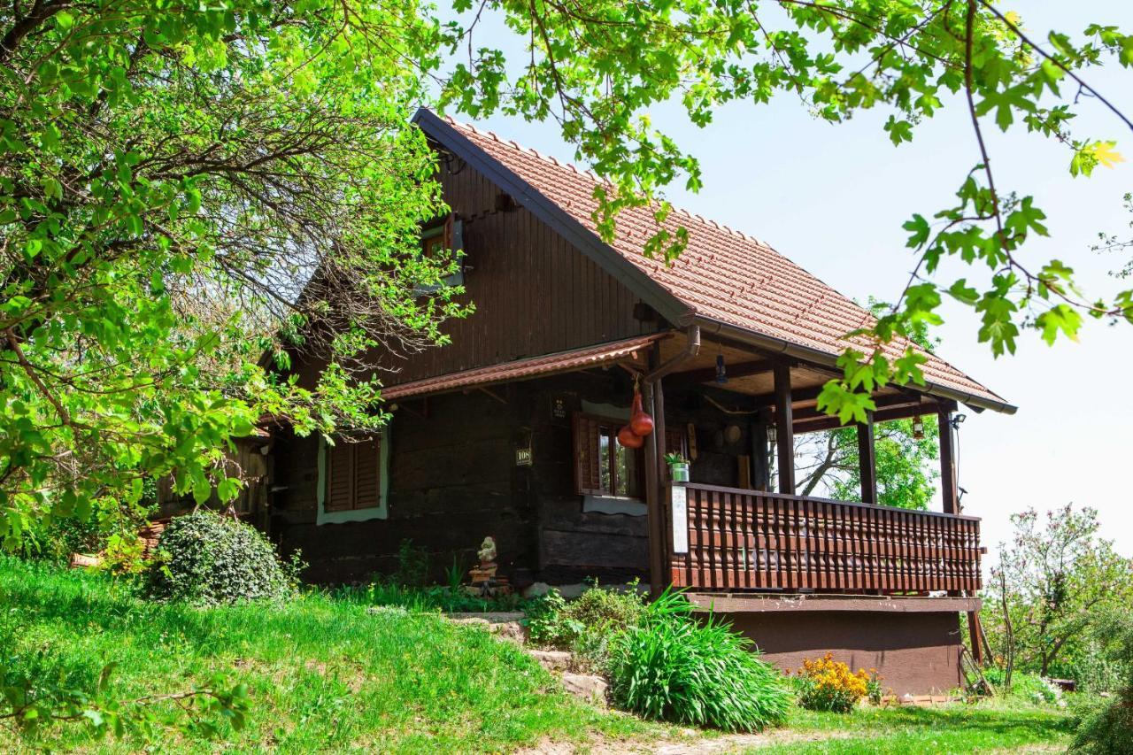Na Okic - A Private Forest Oasis Sveti Martin pod Okicem Kültér fotó