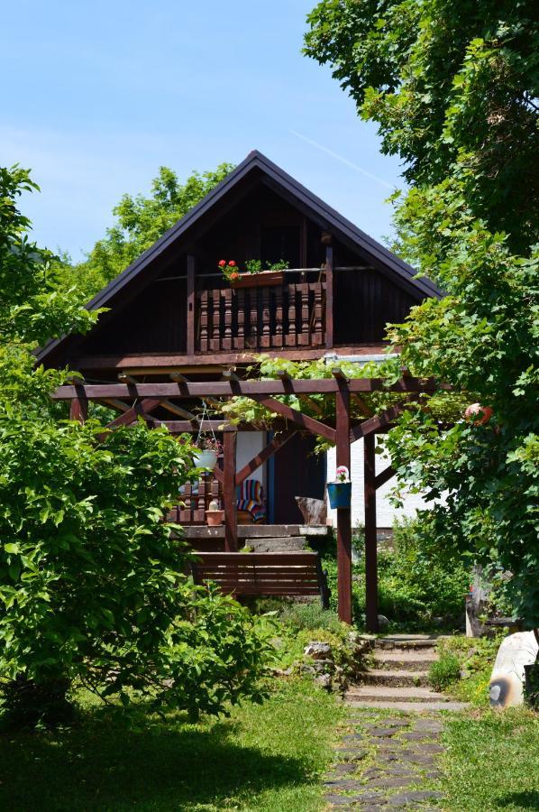 Na Okic - A Private Forest Oasis Villa Sveti Martin pod Okicem Kültér fotó