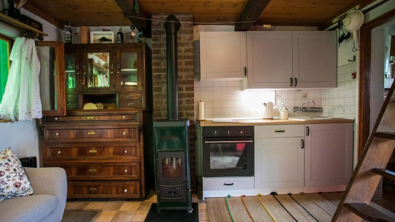 Na Okic - A Private Forest Oasis Sveti Martin pod Okicem Kültér fotó