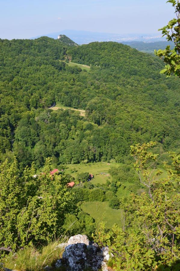 Na Okic - A Private Forest Oasis Villa Sveti Martin pod Okicem Kültér fotó