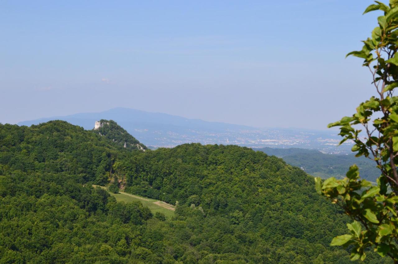 Na Okic - A Private Forest Oasis Villa Sveti Martin pod Okicem Kültér fotó