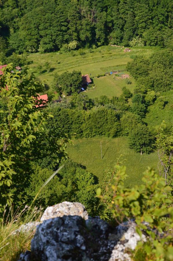 Na Okic - A Private Forest Oasis Sveti Martin pod Okicem Kültér fotó