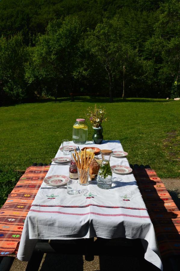 Na Okic - A Private Forest Oasis Sveti Martin pod Okicem Kültér fotó