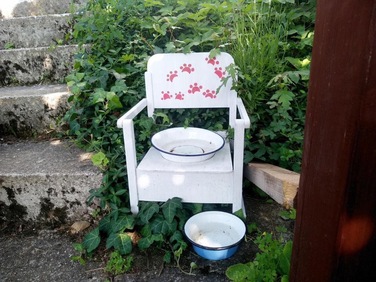 Na Okic - A Private Forest Oasis Sveti Martin pod Okicem Kültér fotó
