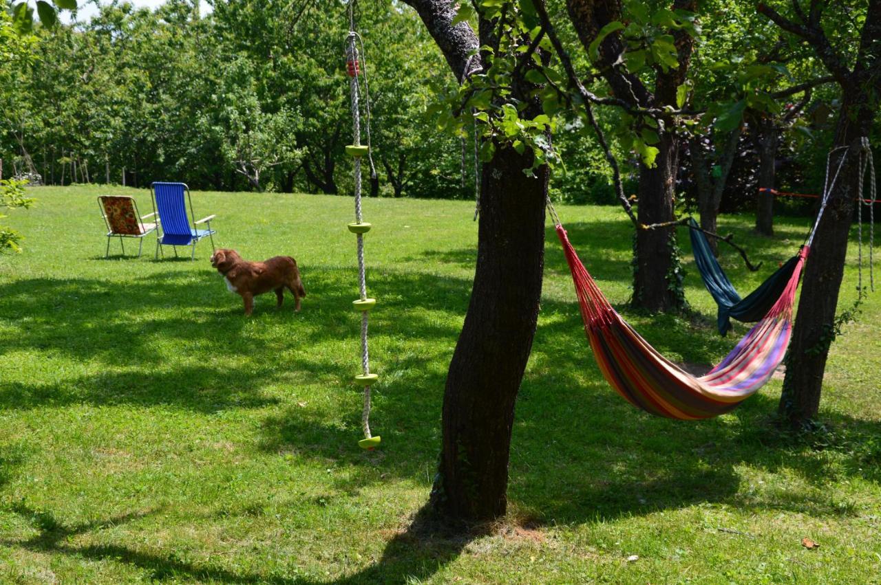 Na Okic - A Private Forest Oasis Sveti Martin pod Okicem Kültér fotó