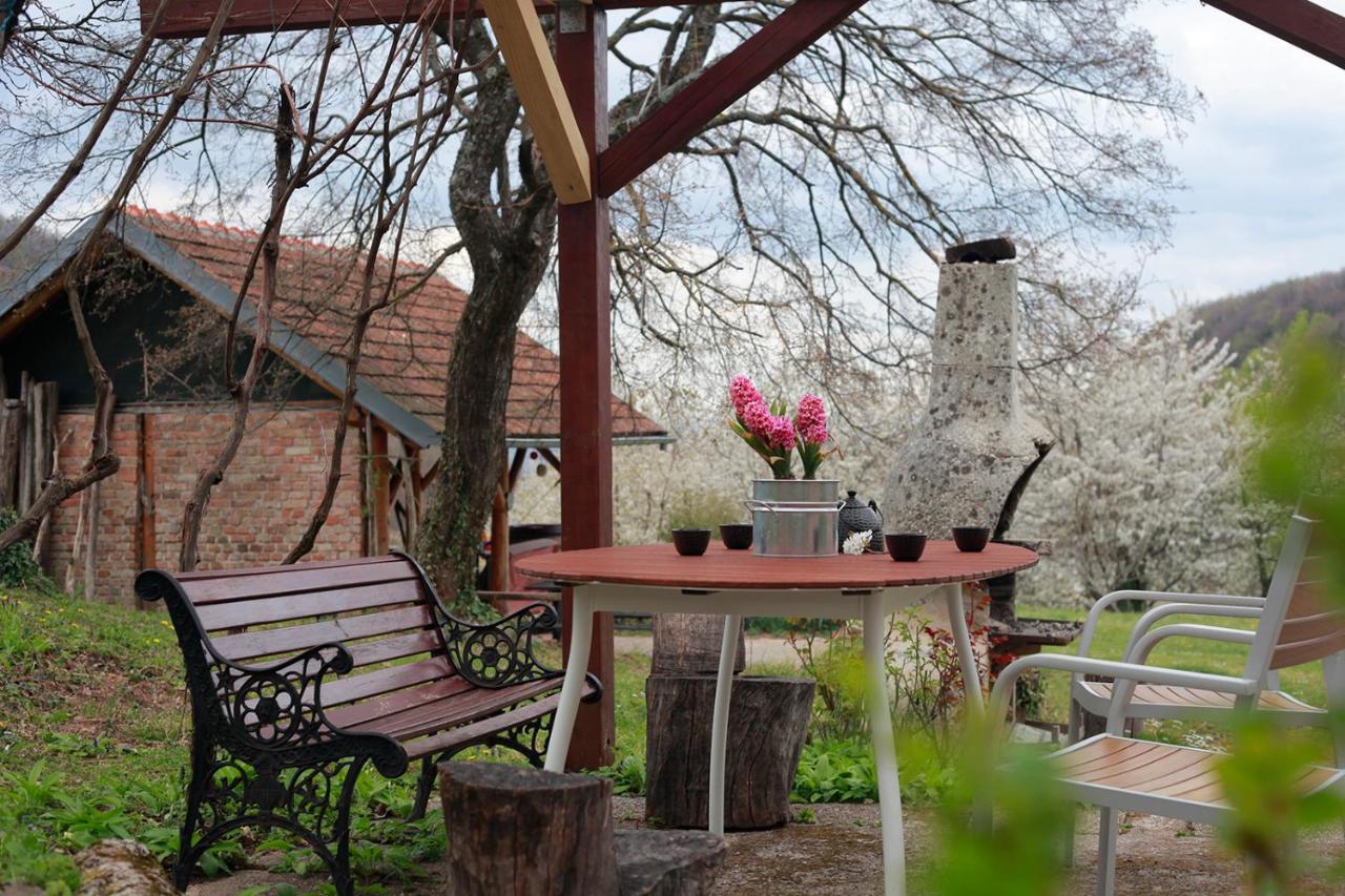 Na Okic - A Private Forest Oasis Sveti Martin pod Okicem Kültér fotó