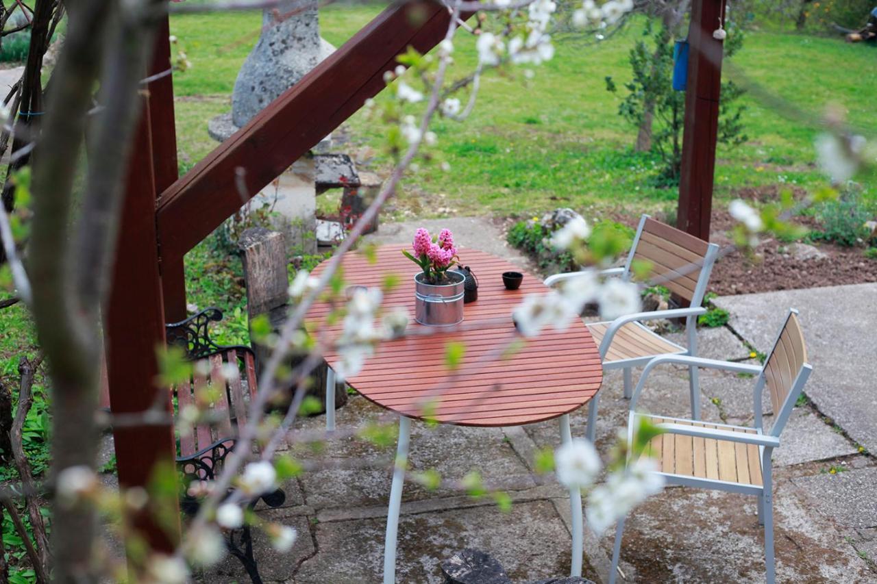Na Okic - A Private Forest Oasis Sveti Martin pod Okicem Kültér fotó