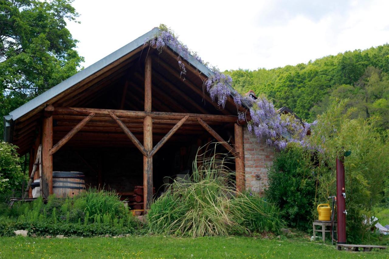 Na Okic - A Private Forest Oasis Sveti Martin pod Okicem Kültér fotó