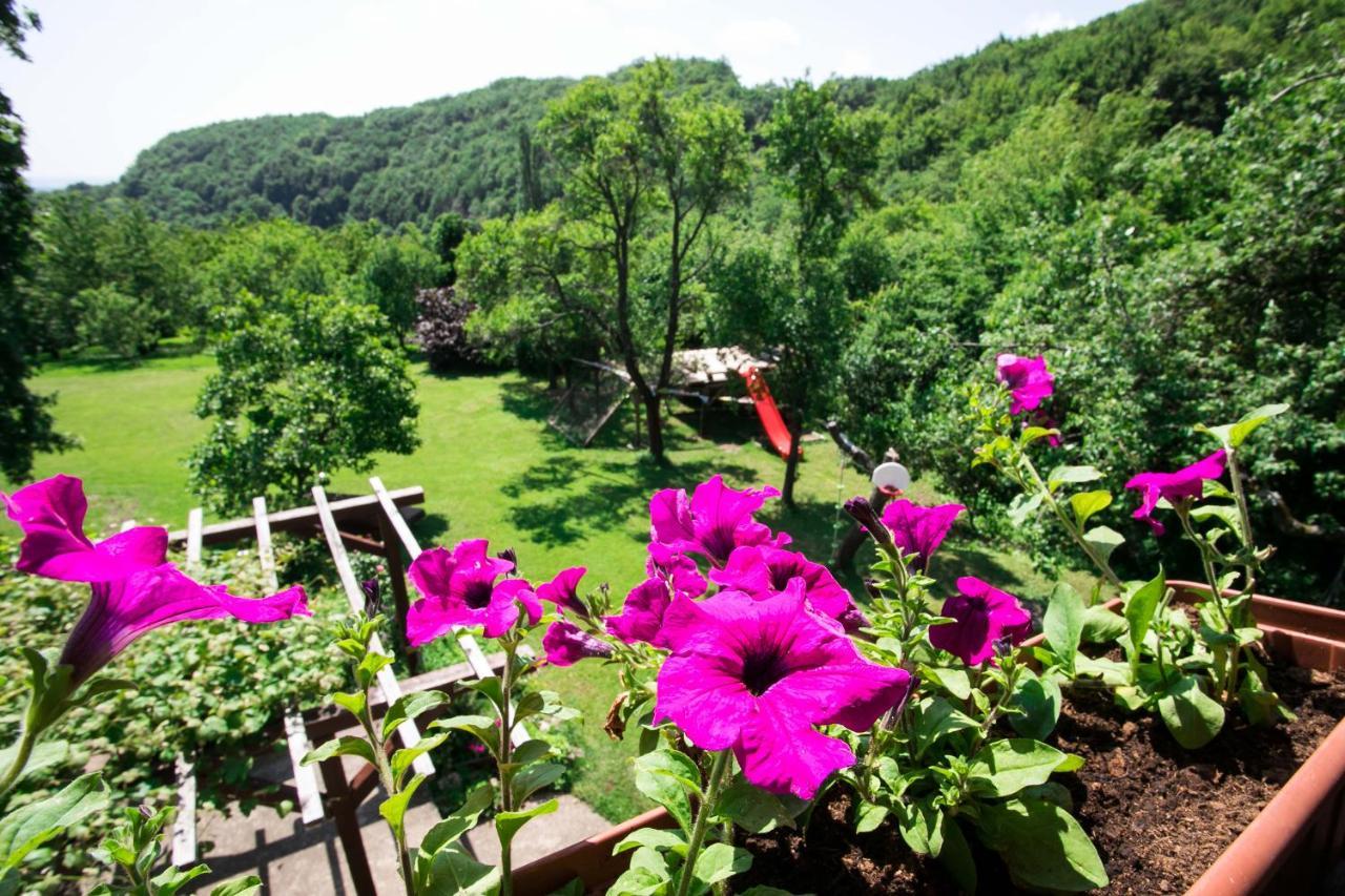 Na Okic - A Private Forest Oasis Sveti Martin pod Okicem Kültér fotó