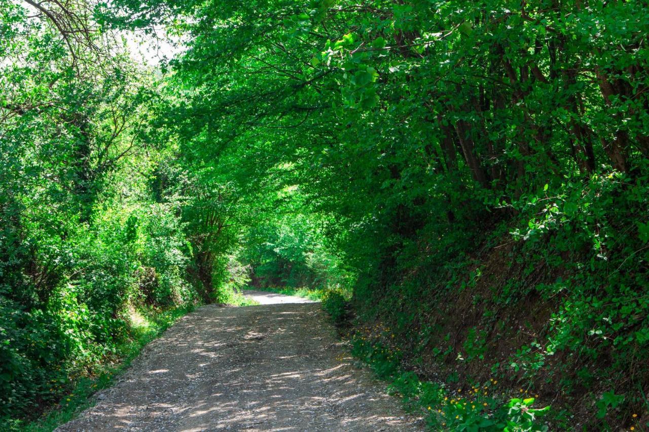Na Okic - A Private Forest Oasis Sveti Martin pod Okicem Kültér fotó
