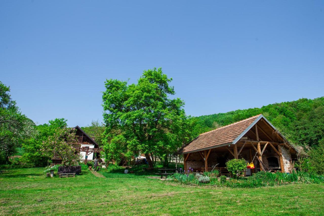 Na Okic - A Private Forest Oasis Sveti Martin pod Okicem Kültér fotó