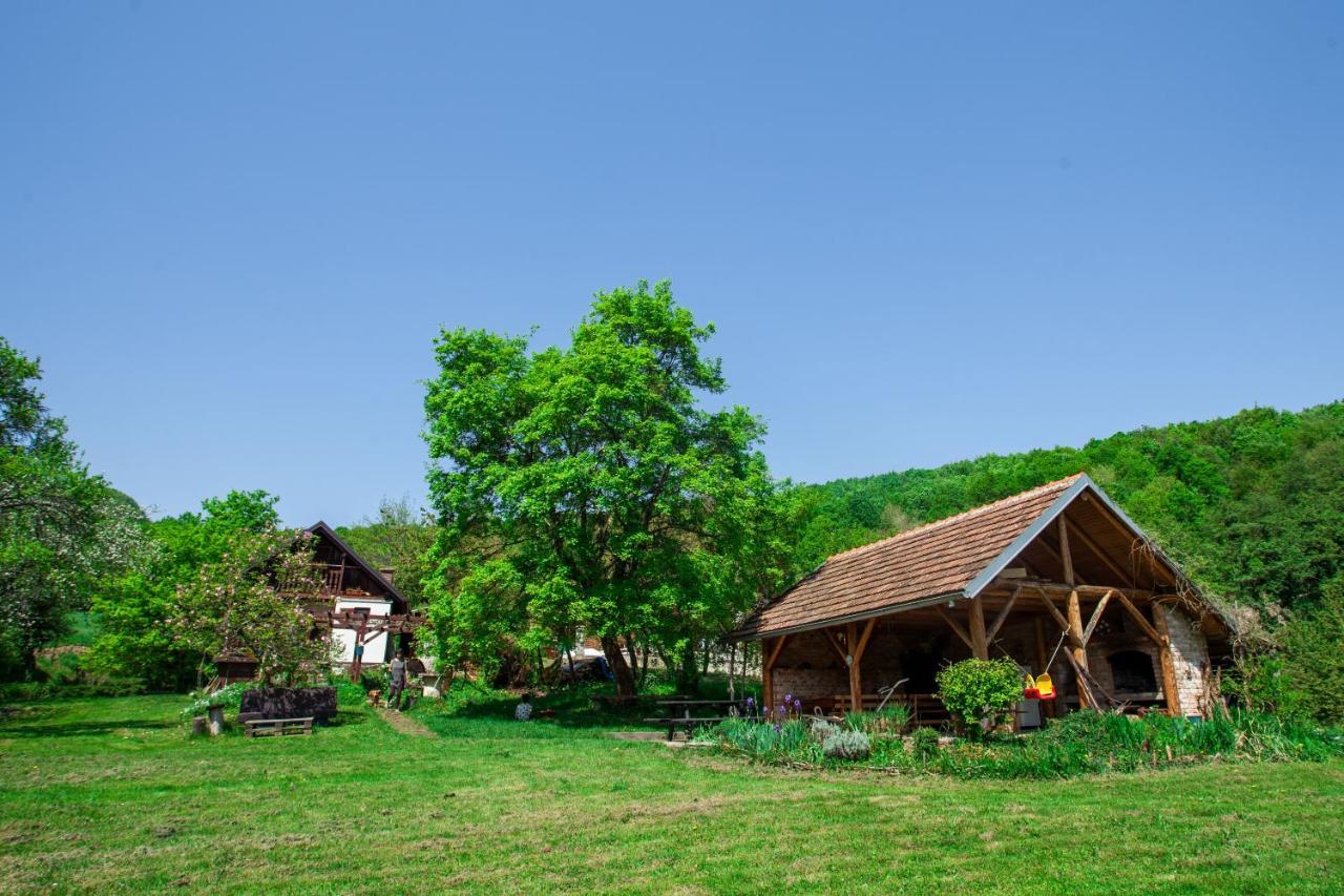 Na Okic - A Private Forest Oasis Villa Sveti Martin pod Okicem Kültér fotó