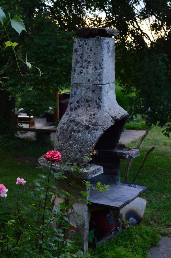 Na Okic - A Private Forest Oasis Sveti Martin pod Okicem Kültér fotó